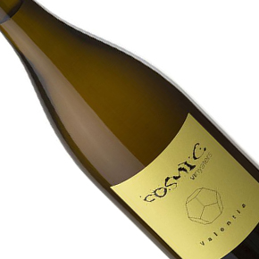 Còsmic Vinyaters-Valentia