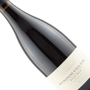 Domaine Amiot-Servelle-Bourgogne Pinot Noir