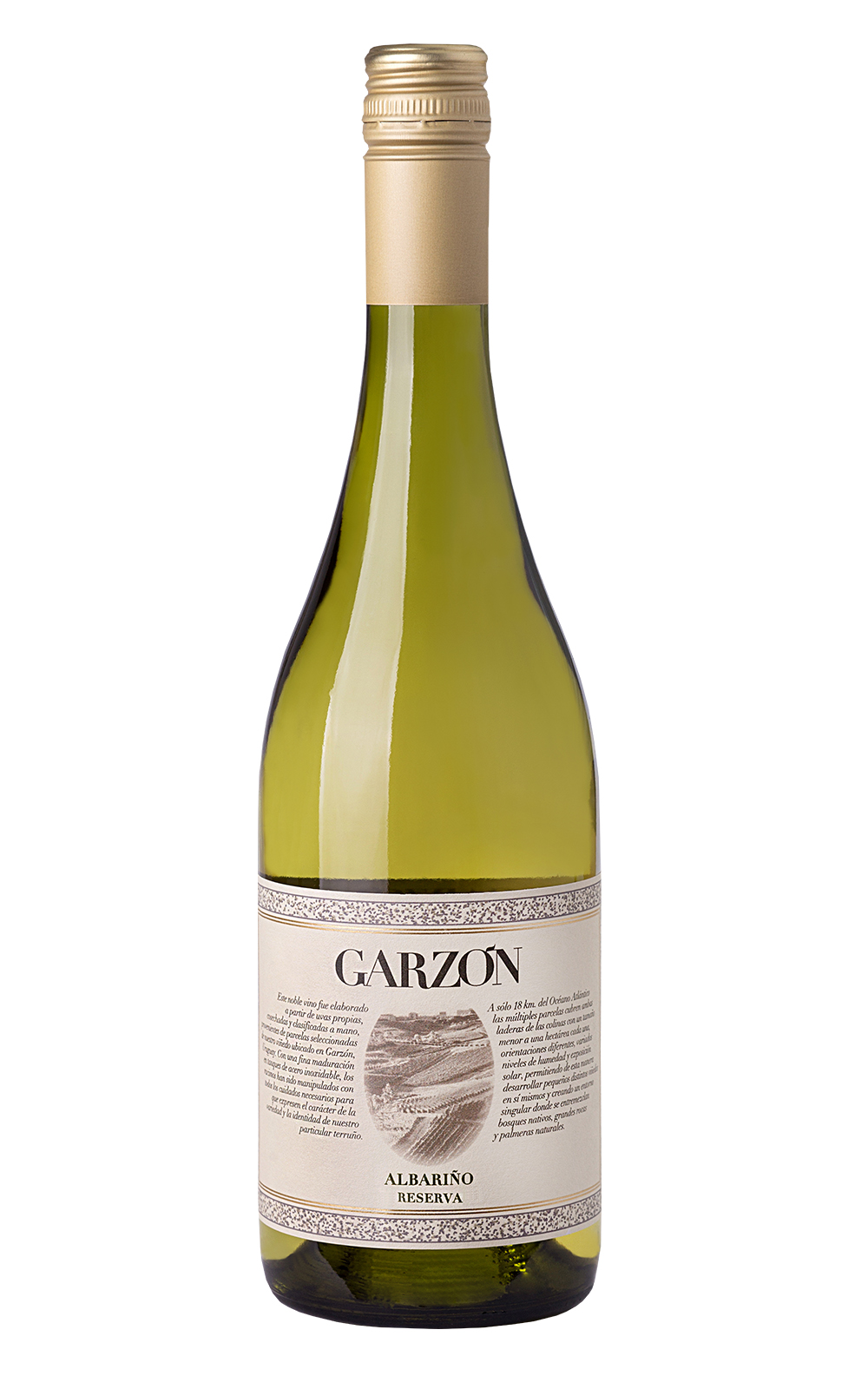 Bodega Garzon Albariño Reserva 2017 加爾松酒莊 阿爾巴利諾特級陳年白酒