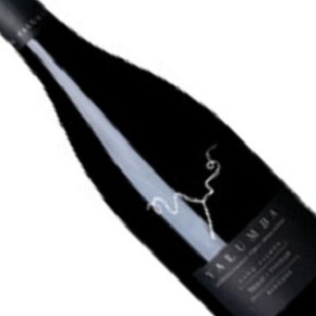 Yalumba-Hand Picked Shiraz-Viognier