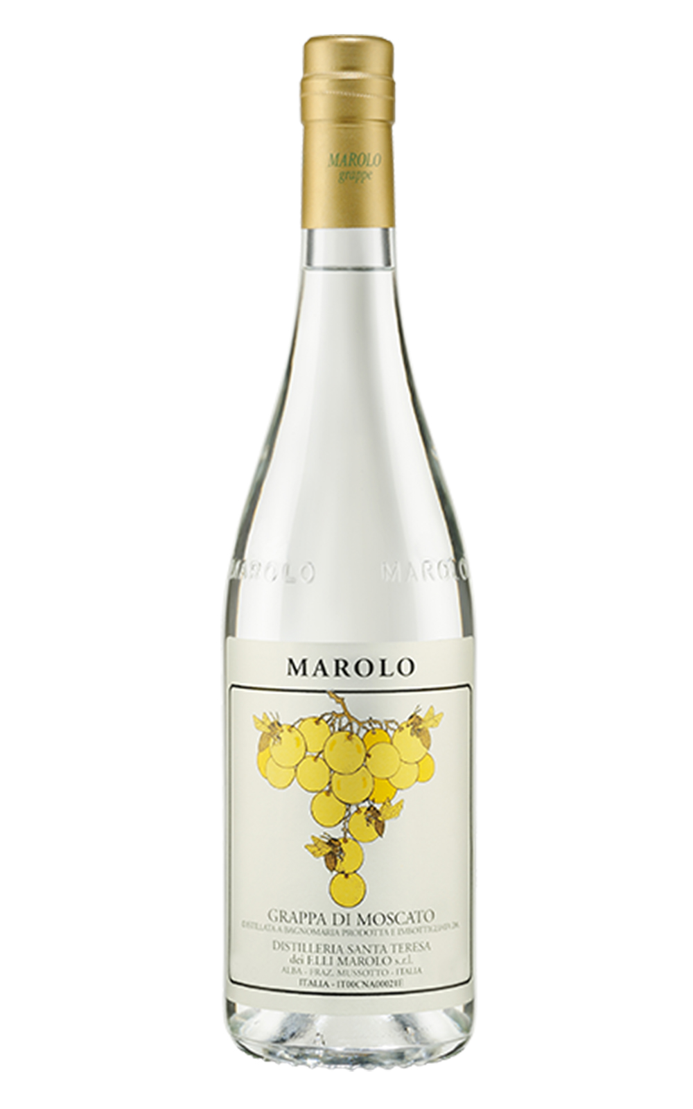 Marolo Distilleria Grappa di Moscato 瑪勒洛 蜜思嘉 渣釀白蘭地