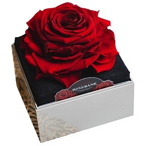 Rosebank原廠贈品-玫瑰永生花禮盒