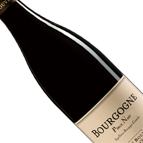Domaine René Bouvier-Bourgogne Pinot Noir