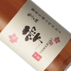 金紋秋田酒造-梅之雨露銀撰