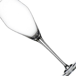 Spiegelau-Hybrid Champagne