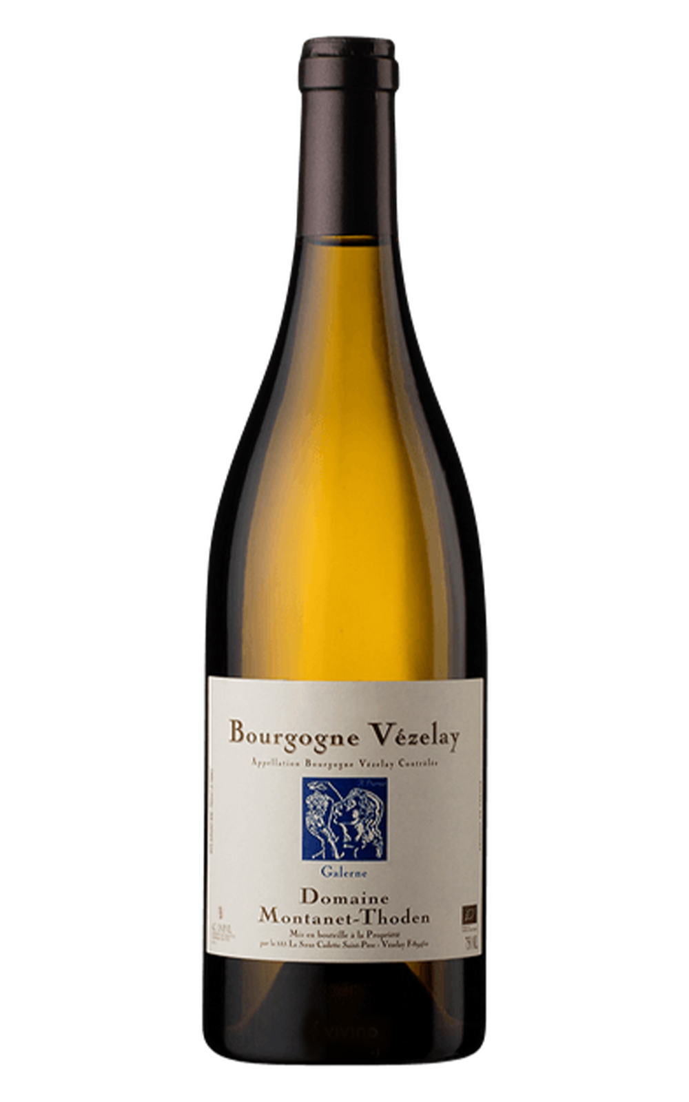 Domaine La Soeur Cadette Bourgogne Vezelay Galerne 2019 卡蒂特酒莊 布根地 維日雷 加萊恩 白酒