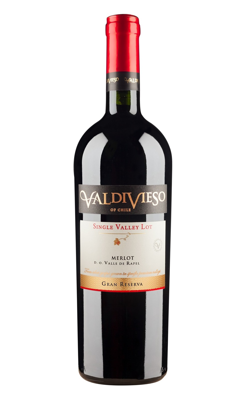 Vina Valdivieso Gran Reserva Merlot 2012 威帝偉士酒莊 特選陳年梅洛紅酒