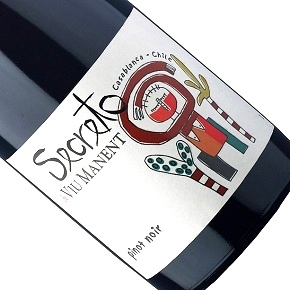 Viu Manent-Secreto Pinot Noir