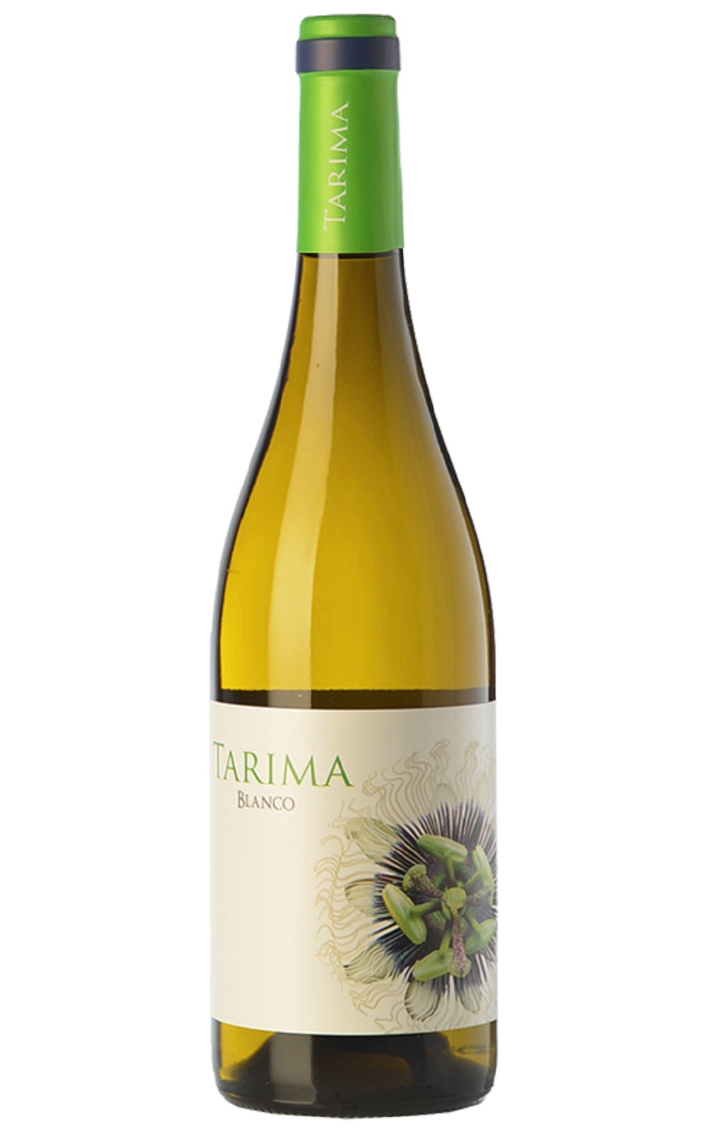 Bodegas Volver Tarima Blanco 2016 沃韋酒莊 舞台系列白酒