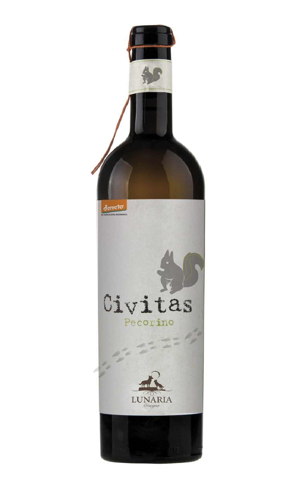 Cantina Orsogna Civitas Pecorino Terre di Chieti IGP 2016 歐索納酒莊 松鼠白酒