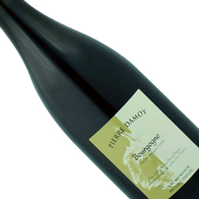 Domaine Pierre Damoy-Bourgogne Rouge