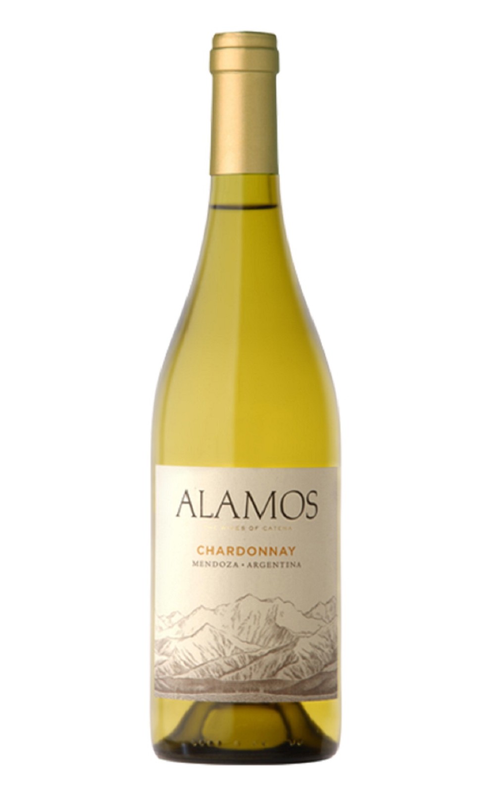 Catena Zapata Alamos Chardonnay 2017 卡帝那 沙巴達酒莊 艾拉蒙斯 夏多內白酒