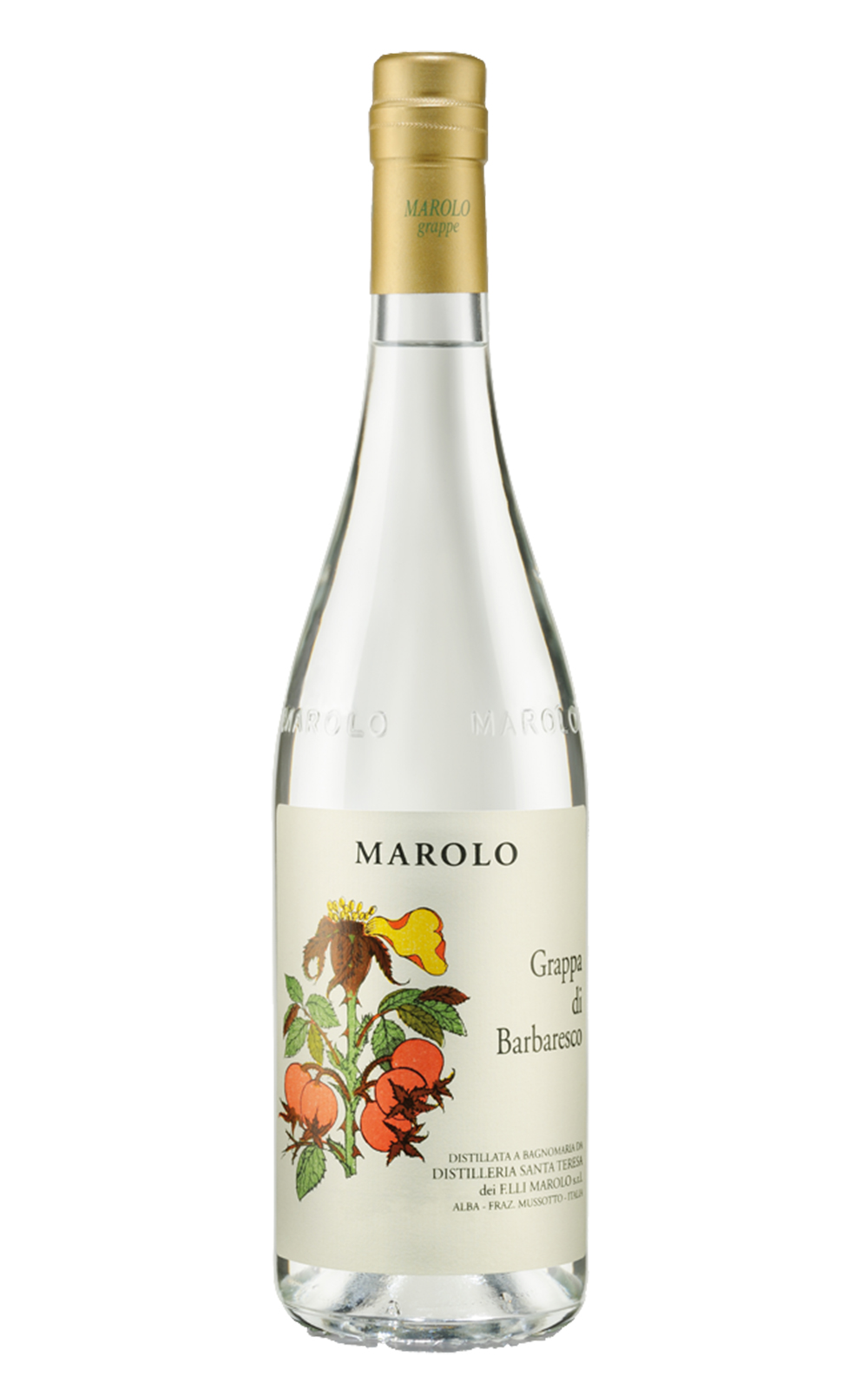 Marolo Distilleria Grappa di Barbaresco 瑪勒洛 巴巴瑞斯科 渣釀白蘭地