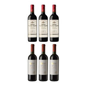 iCheers Special Set-Wine Enthusiast No.1 Best Buy 6 Bottle Set (750ml*6)