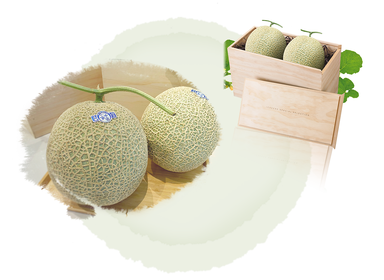 哈密瓜產地故事