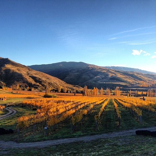 主圖(圖片說明請修改)