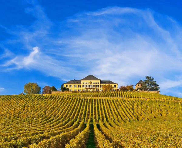 主圖(圖片說明請修改)