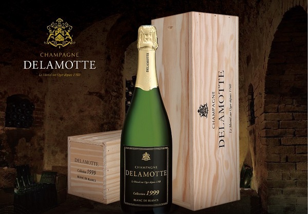 Delamotte1999