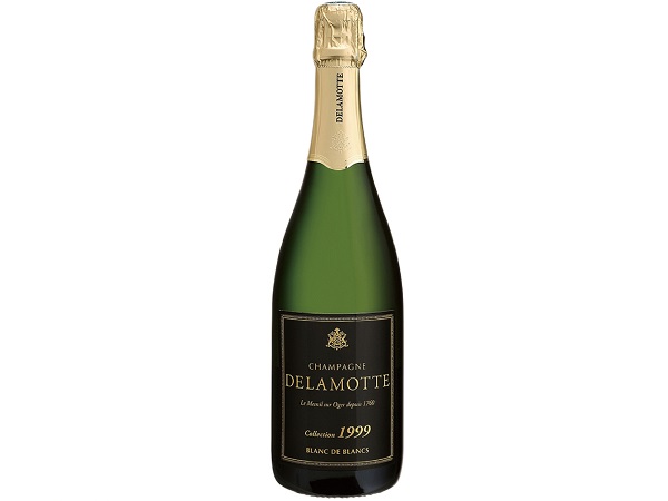 Delamotte1999