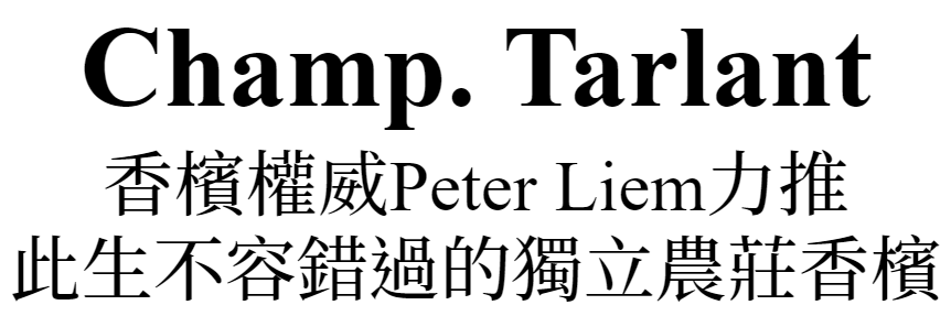 主標文字