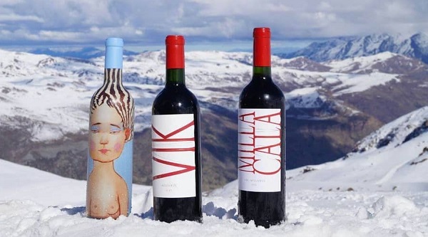 主圖(圖片說明請修改)