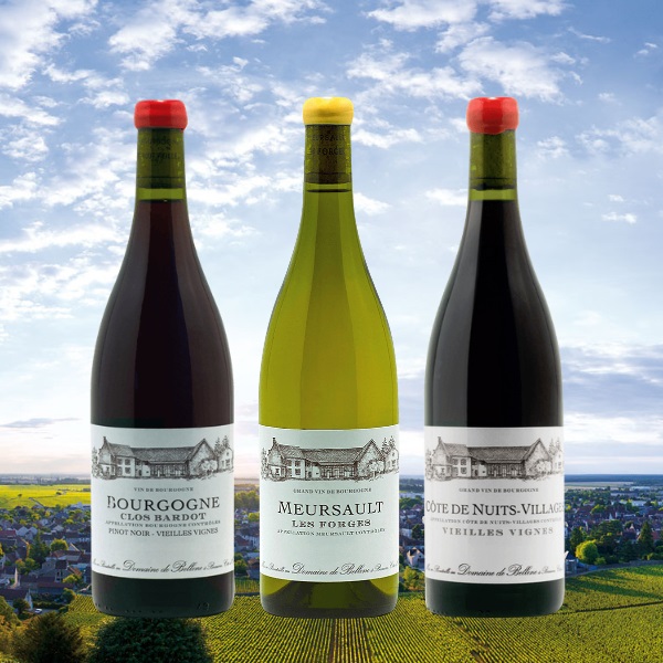 Domaine_de_Bellene
