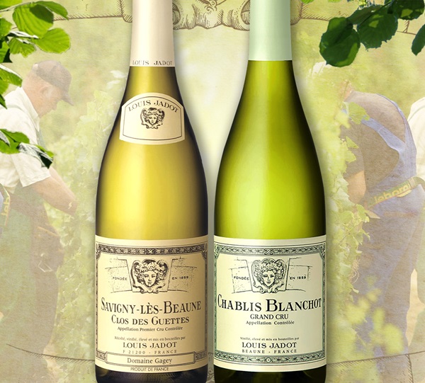 Louis_Jadot