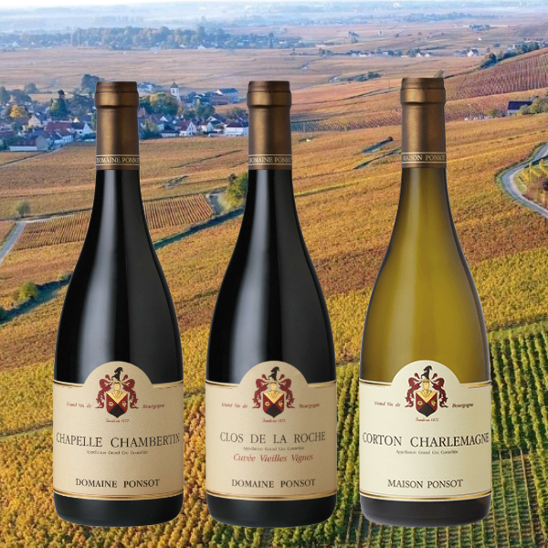 ponsot