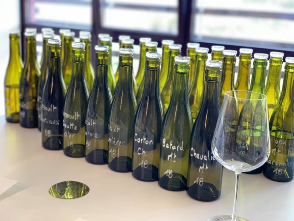 Domaine_Pierre-Yves Colin-Morey