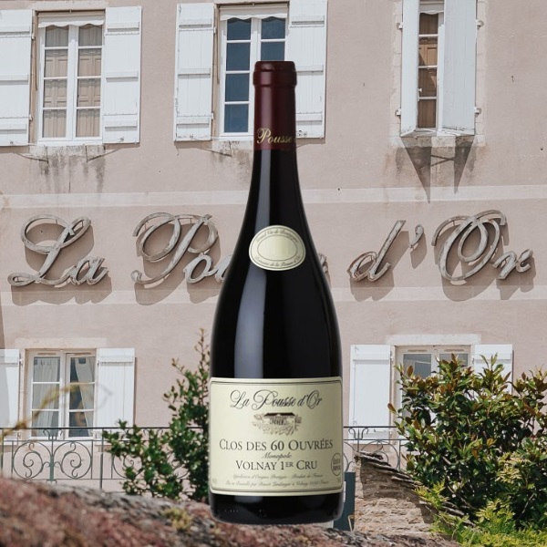 Pousse d'Or 