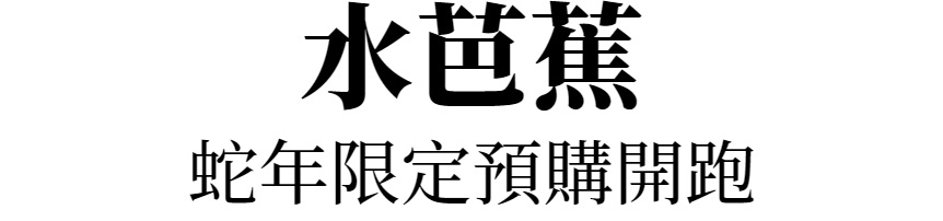水芭蕉