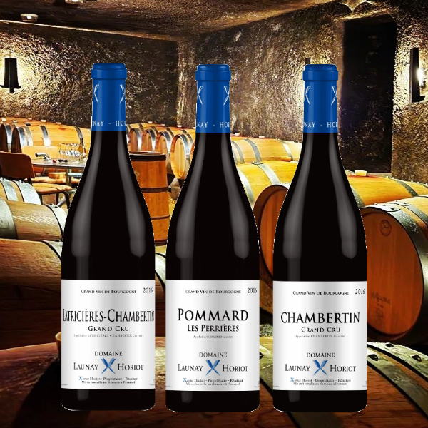 Domaine Launay Horiot 