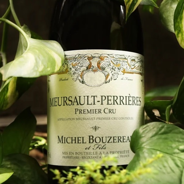 主圖(圖片說明請修改)