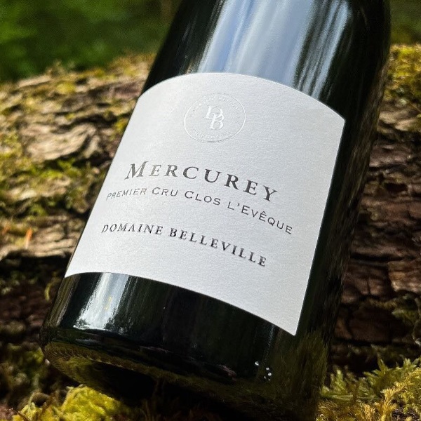 Domaine Belleville
