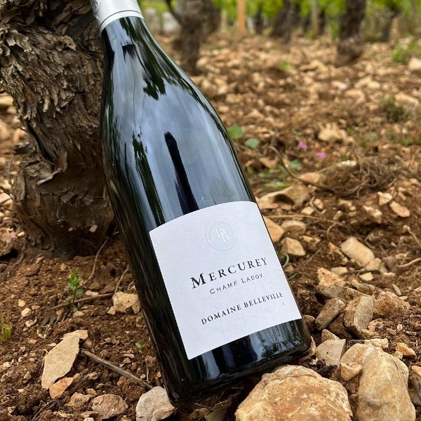 Domaine Belleville