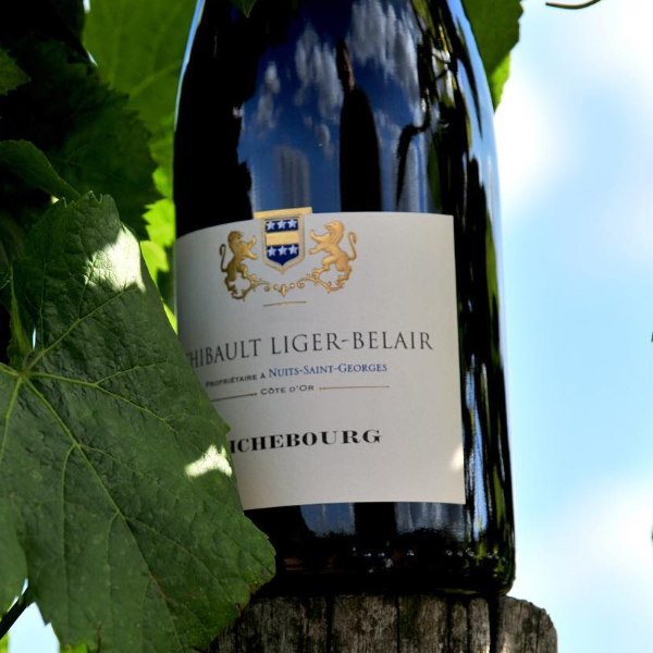 Thibault-Liger-Belair