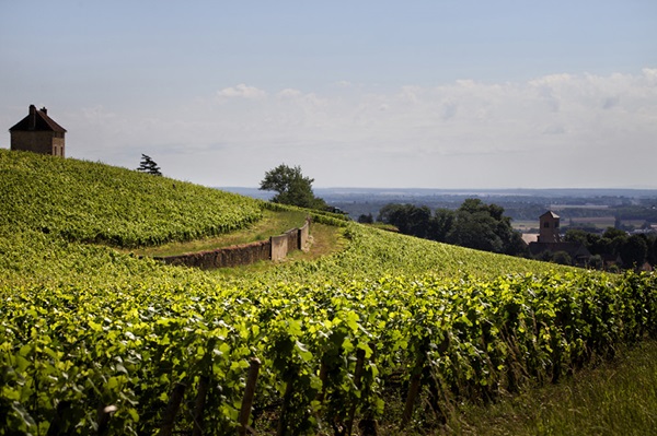 Arnaud Mortet