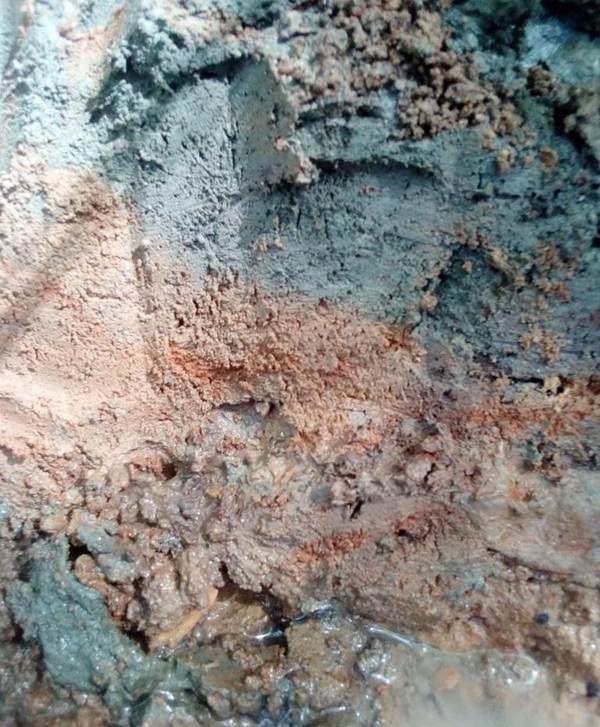 主圖(圖片說明請修改)