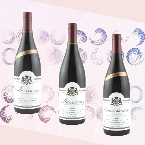 主圖(圖片說明請修改)