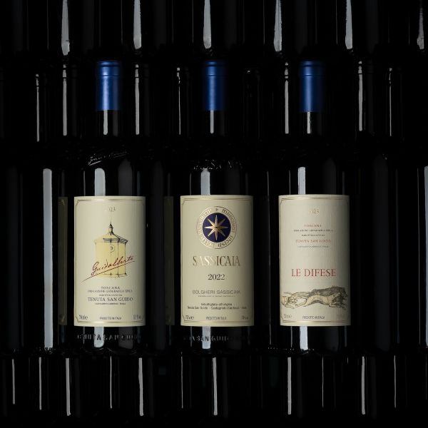Sassicaia