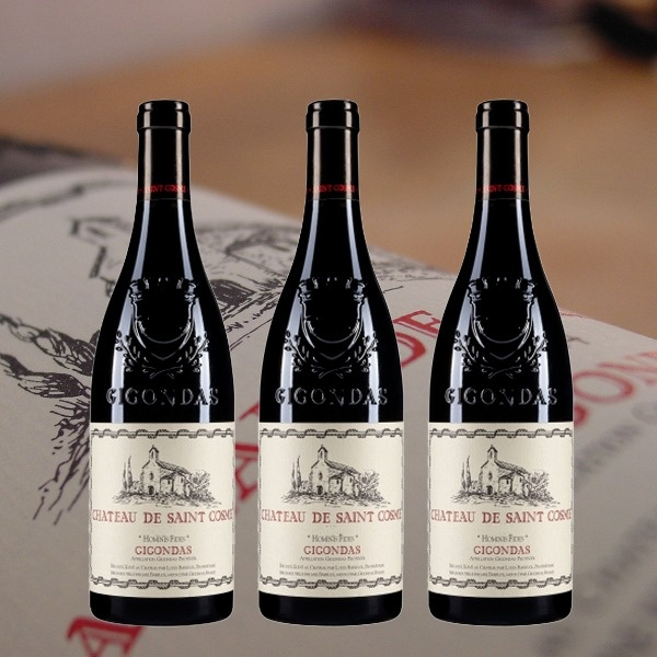 Château de Saint Cosme