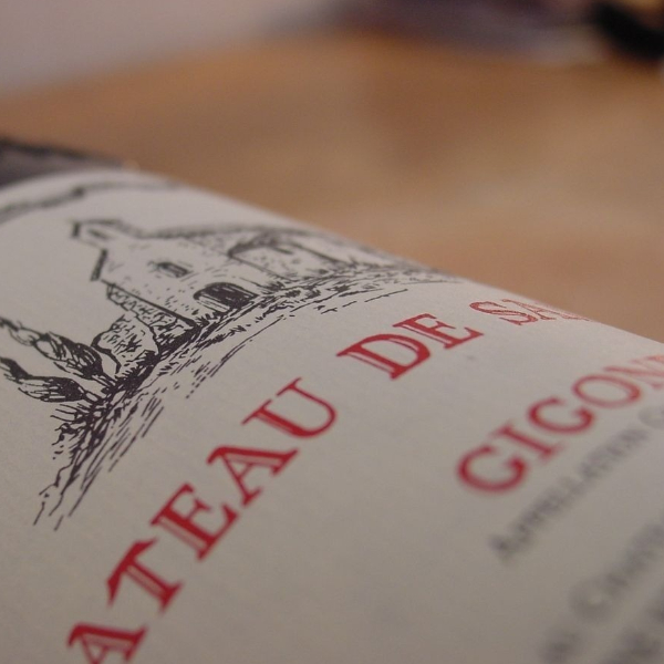 Château de Saint Cosme