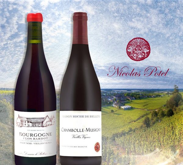 主圖(圖片說明請修改)