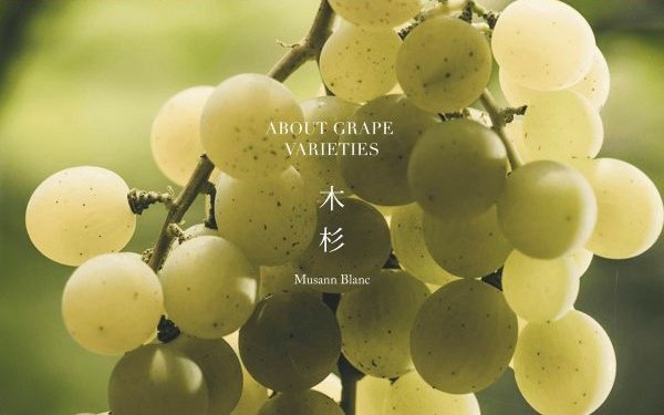 主圖(圖片說明請修改)