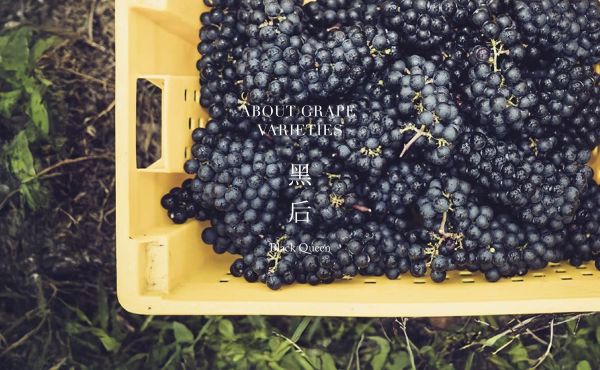 主圖(圖片說明請修改)