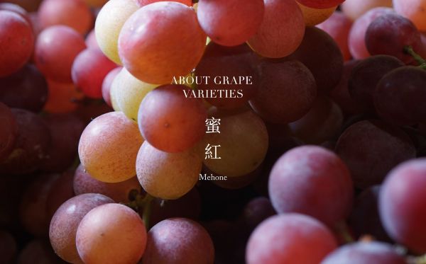 主圖(圖片說明請修改)