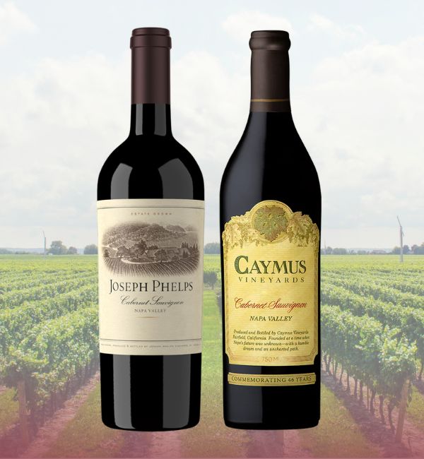 主圖(圖片說明請修改)