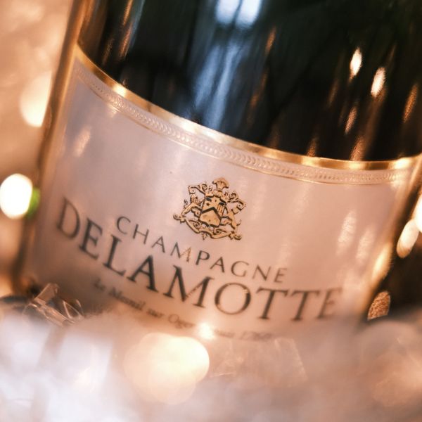 delamotte