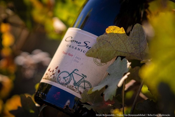 主圖(圖片說明請修改)