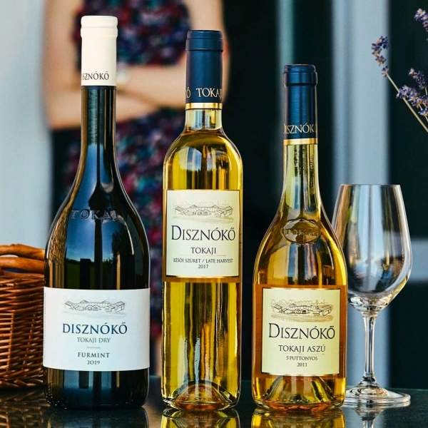 主圖(圖片說明請修改)